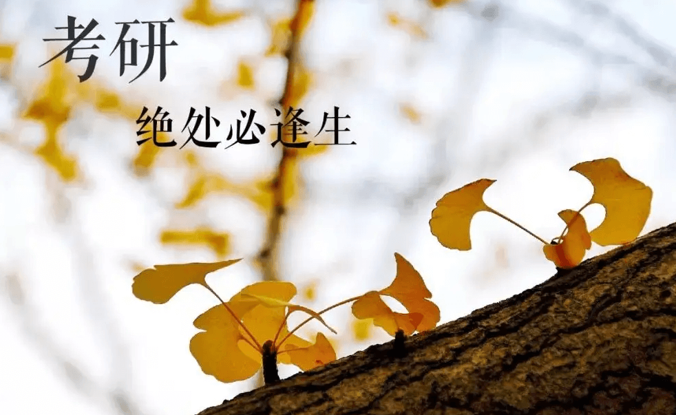 在职考研培训