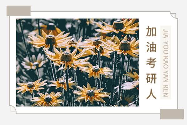 在职考研培训